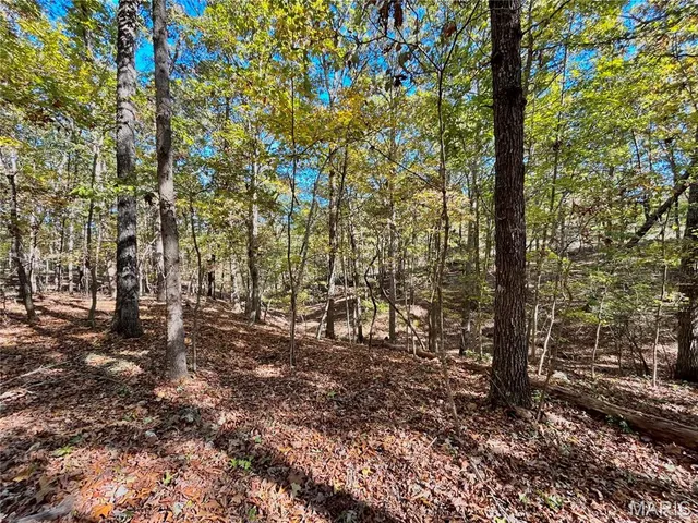 $112,000 | 6 County Road 4215, Salem, MO 65560