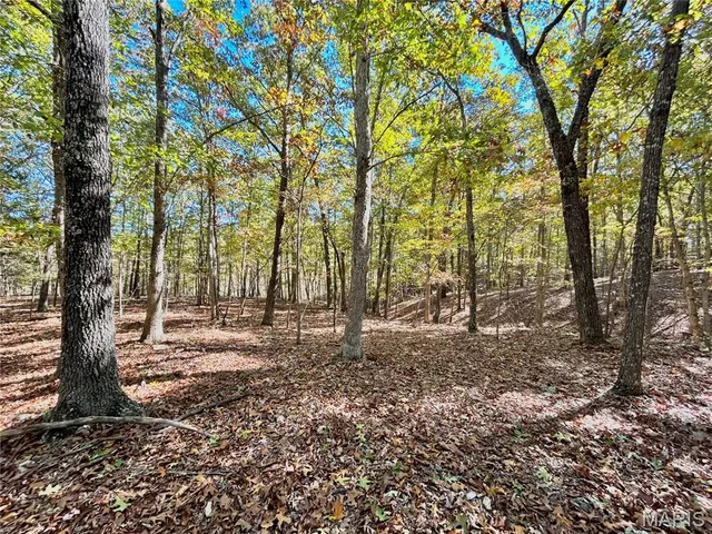 $112,000 | 6 County Road 4215, Salem, MO 65560