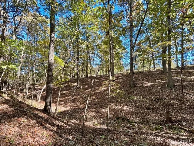 $112,000 | 6 County Road 4215, Salem, MO 65560