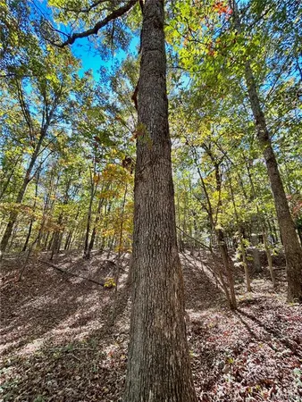 $112,000 | 6 County Road 4215, Salem, MO 65560