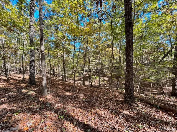 $112,000 | 6 County Road 4215, Salem, MO 65560