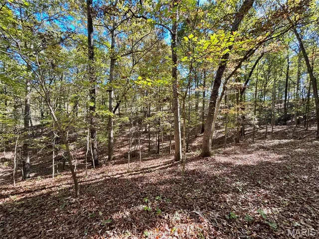 $112,000 | 6 County Road 4215, Salem, MO 65560