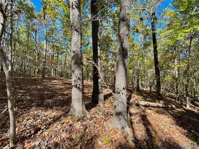 $112,000 | 6 County Road 4215, Salem, MO 65560