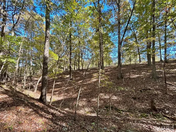 $112,000 | 6 County Road 4215, Salem, MO 65560