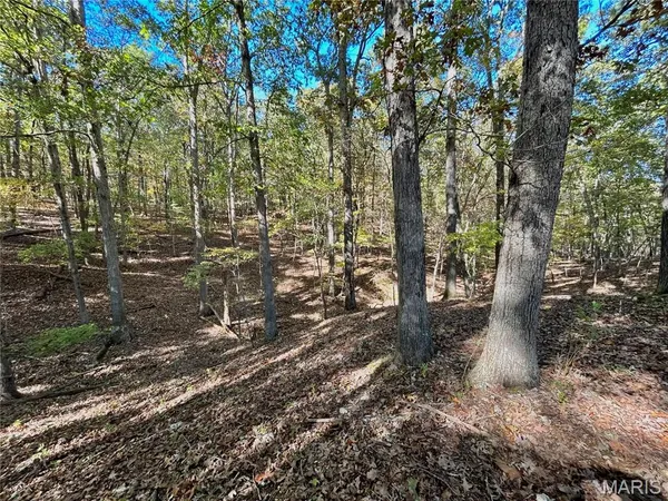 $112,000 | 6 County Road 4215, Salem, MO 65560