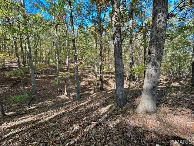 $112,000 | 6 County Road 4215, Salem, MO 65560