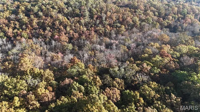 $112,000 | 6 County Road 4215, Salem, MO 65560