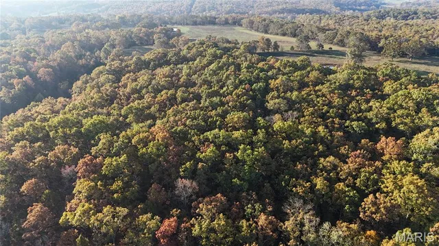 $112,000 | 6 County Road 4215, Salem, MO 65560