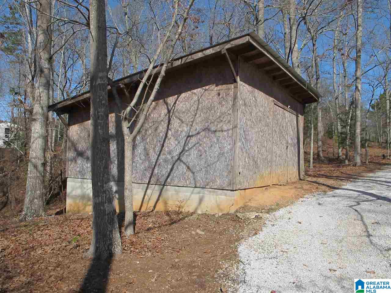 0 County Road 256 Wedowee, AL 36278 - Photo 6 of 8