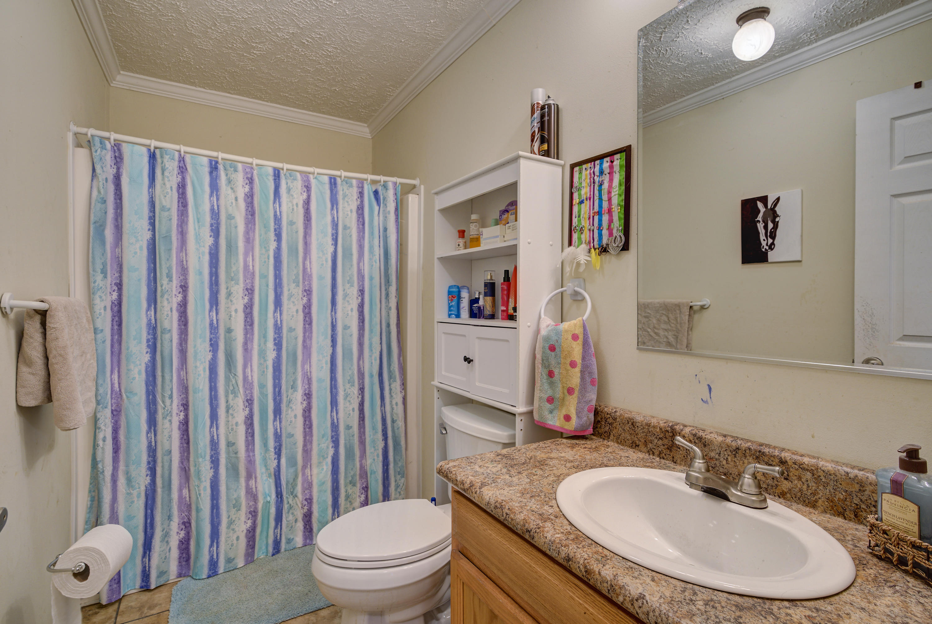 139 Cable Road Jonesborough, TN 37659 - Photo 20 of 47 Cable-Interior-16