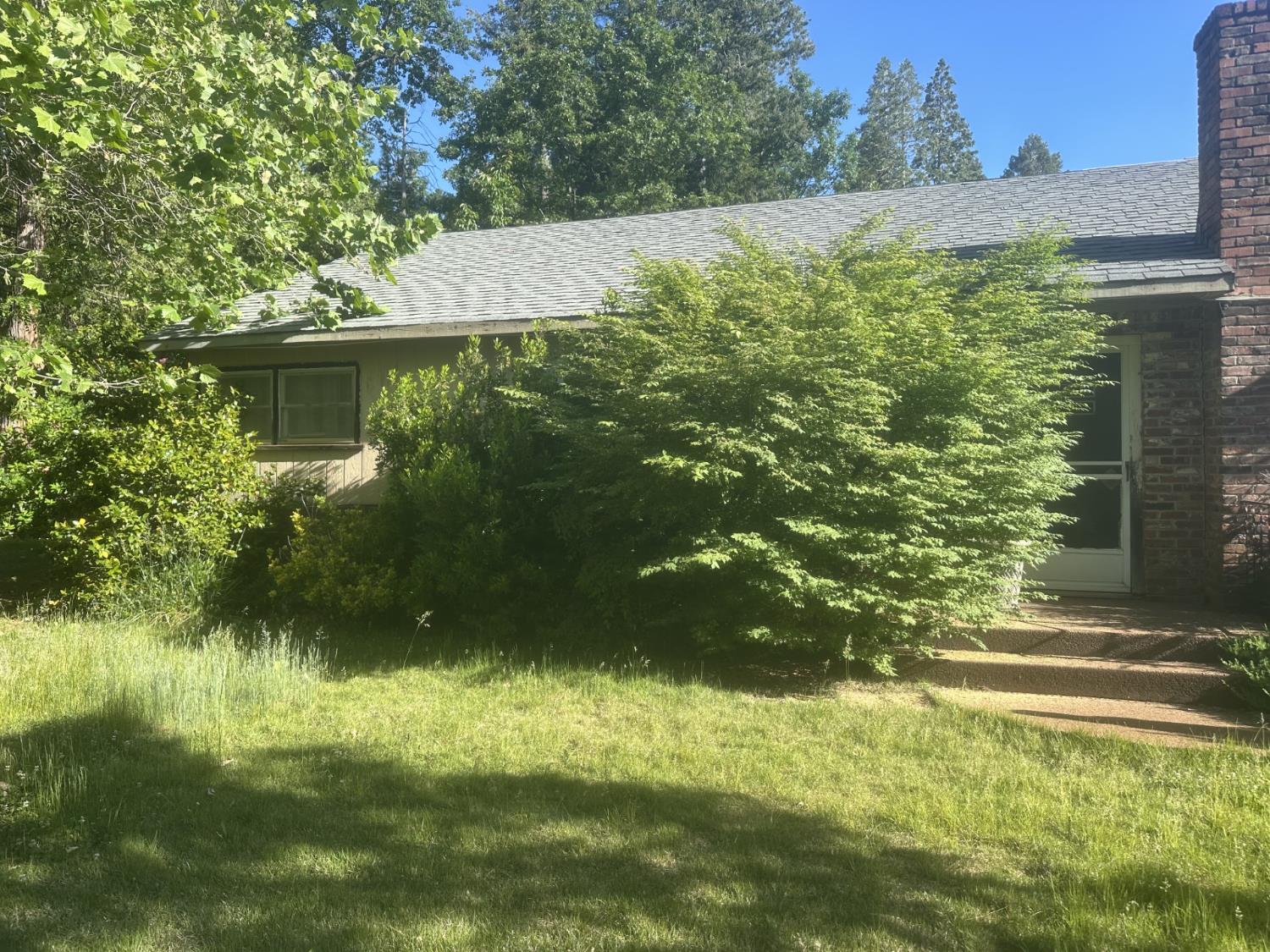 8881 Wentworth Springs Road Georgetown, CA 95634 - Photo 1 of 1 a backyard of a house with lots of green space