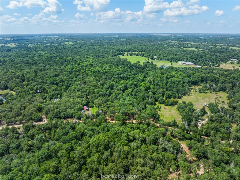 Tbd Weber Road Bryan, TX 77808 - Photo 39 of 43