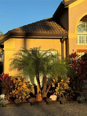 a view of swimming pool from a yard