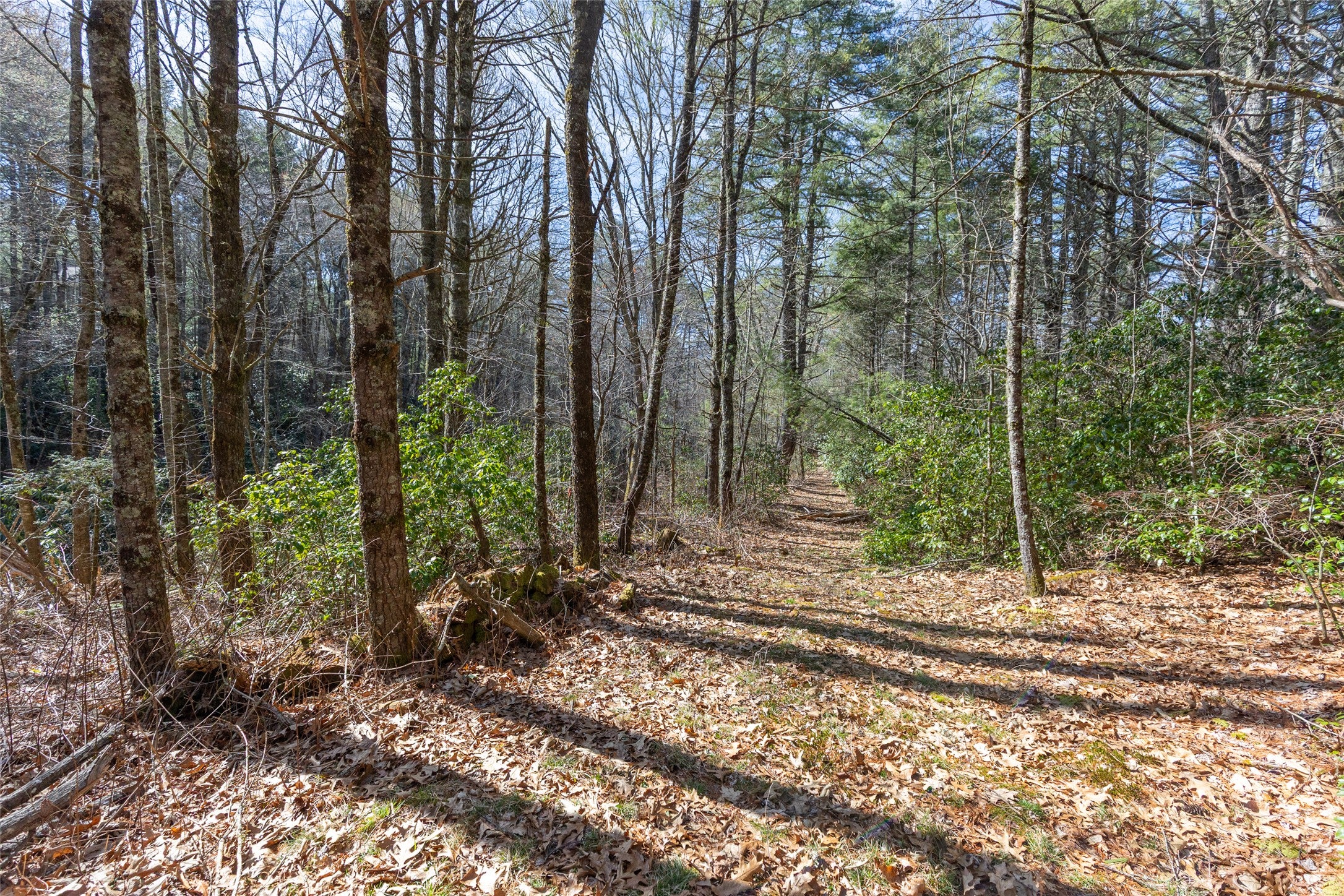 Tbd Flat Mountain Road Highlands, NC 28741 - Photo 4 of 9 Interior view
