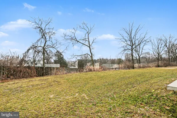 a view of a yard with a tree