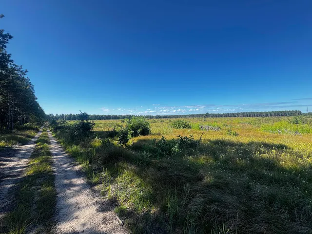 $200,000 | 40-ac Akron Drive, Nekoosa, WI 54457