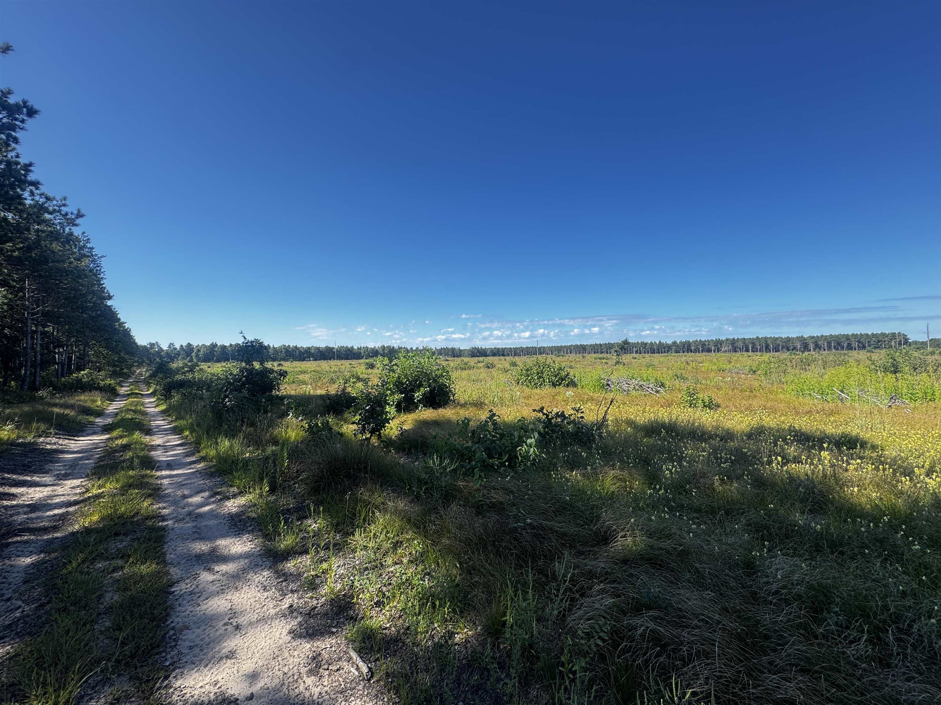 40-ac Akron Drive Nekoosa, WI 54457 - Photo 11 of 12