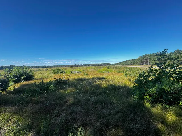 $200,000 | 40-ac Akron Drive, Nekoosa, WI 54457