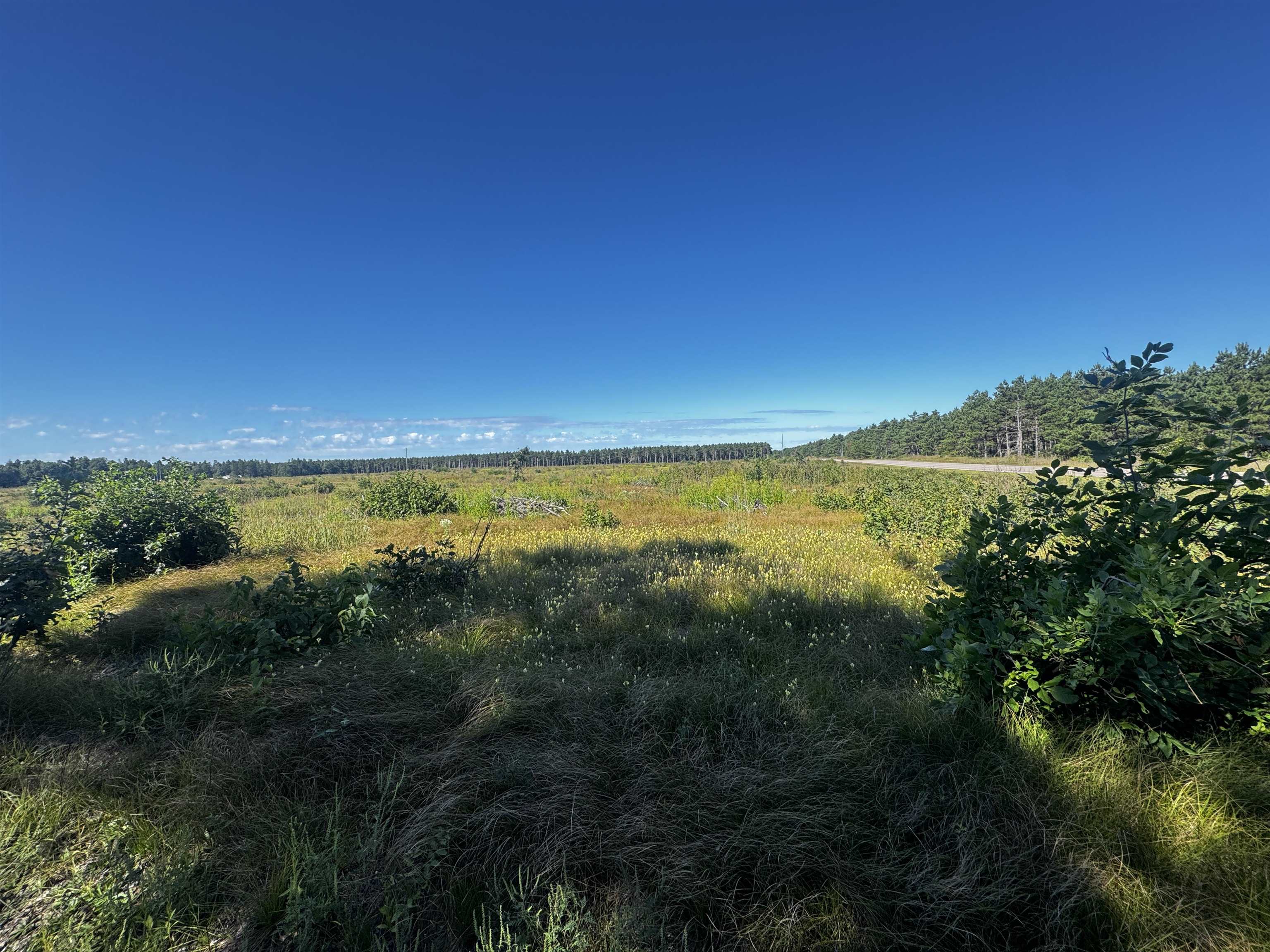 40-ac Akron Drive Nekoosa, WI 54457 - Photo 10 of 12