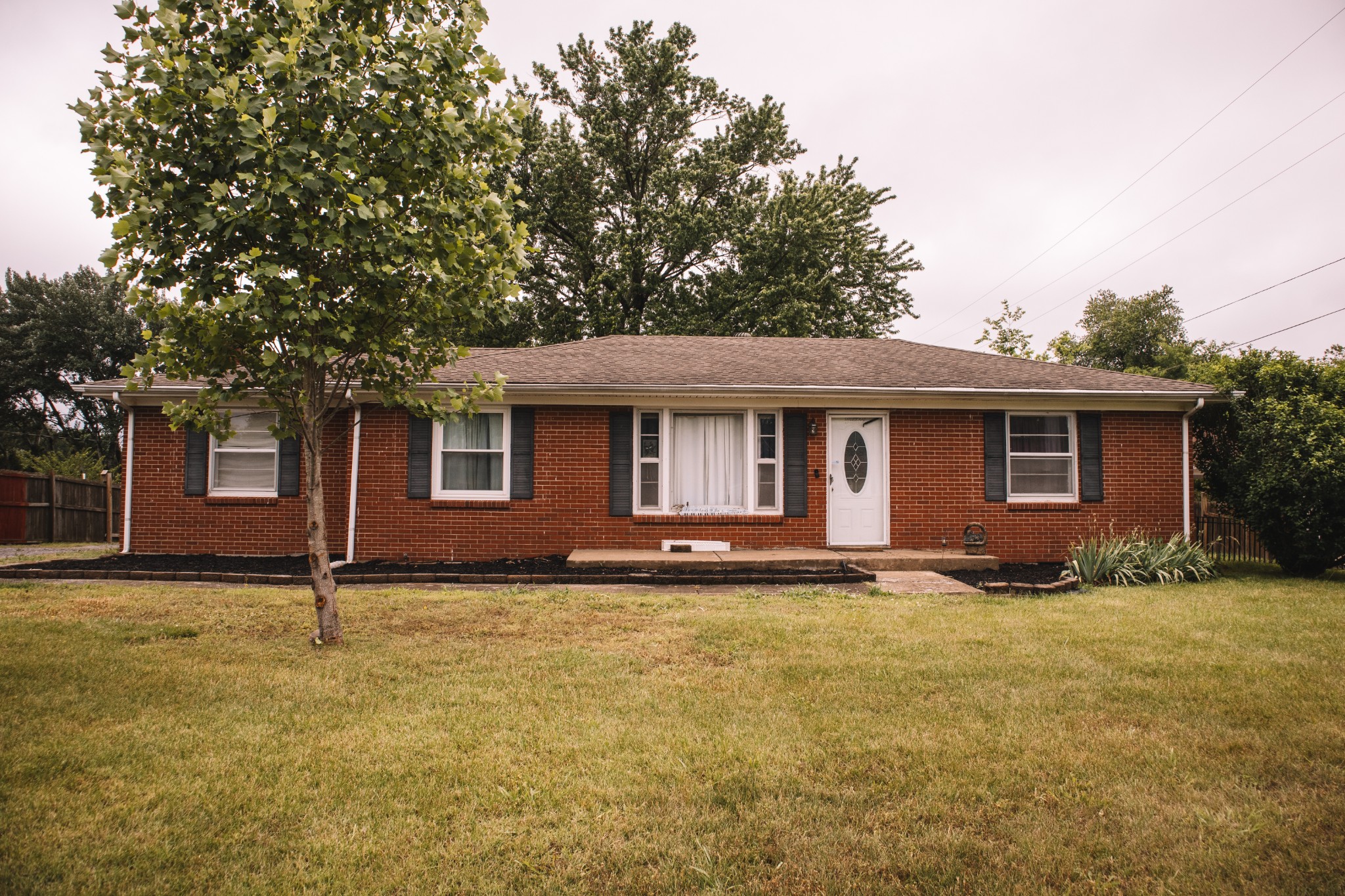 508 Needmore Road Clarksville, TN 37040 - Photo 1 of 2 a view of a yard in front of a house with plants and large trees