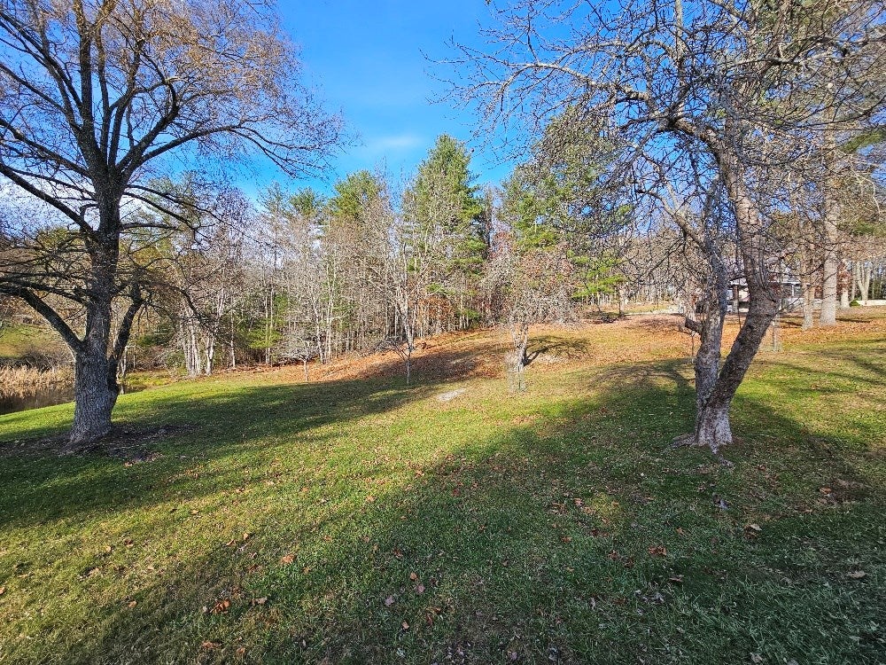 1810 Fulton Road Independence, VA 24348 - Photo 60 of 67 Gallery Image 60