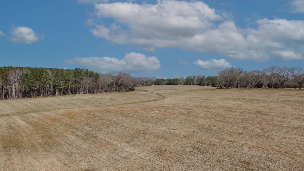 1042 Woodlawn Road Mansfield, GA 30055 - Photo 17 of 29 a view of lake view and mountain