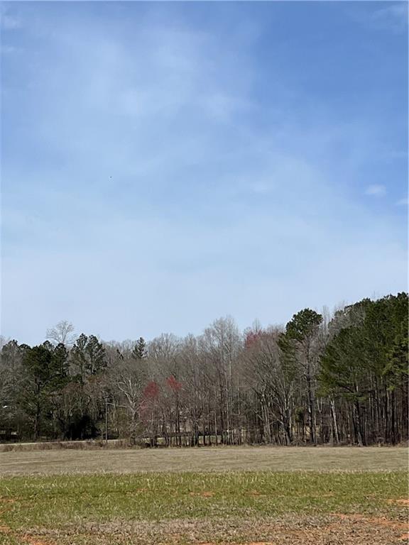1042 Woodlawn Road Mansfield, GA 30055 - Photo 20 of 29 a view of a field with trees in background
