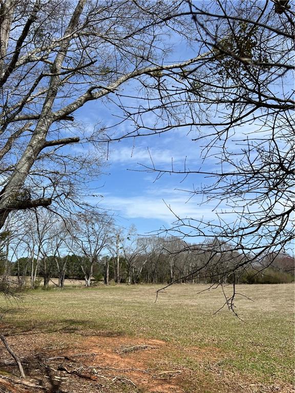 1042 Woodlawn Road Mansfield, GA 30055 - Photo 25 of 29 a view of an ocean beach