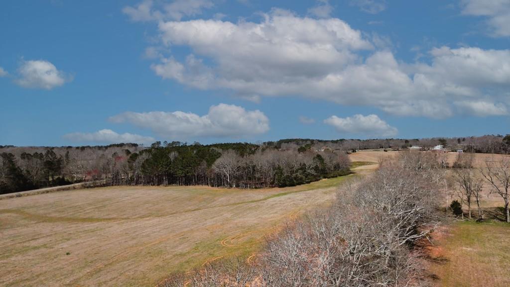 1042 Woodlawn Road Mansfield, GA 30055 - Photo 5 of 29 a view of with dry yard
