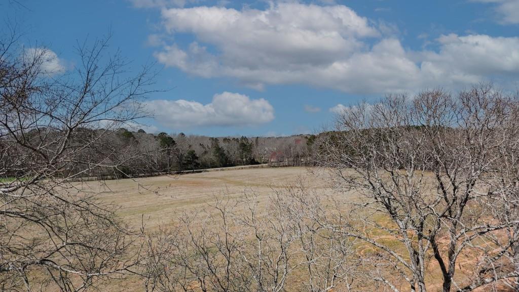 1042 Woodlawn Road Mansfield, GA 30055 - Photo 9 of 29 a view of large trees with wooden fence
