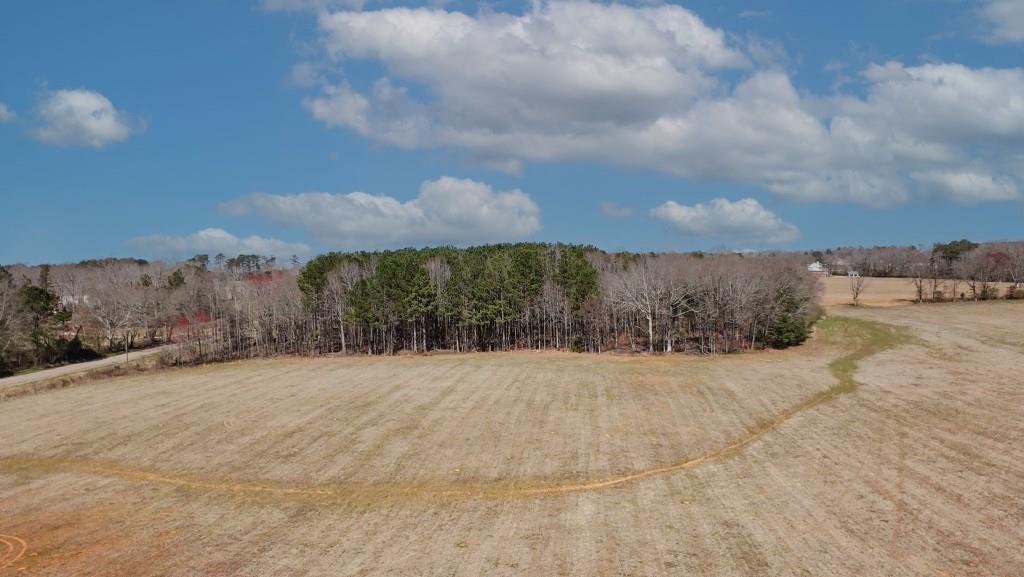 1042 Woodlawn Road Mansfield, GA 30055 - Photo 10 of 29 a view of outdoor space