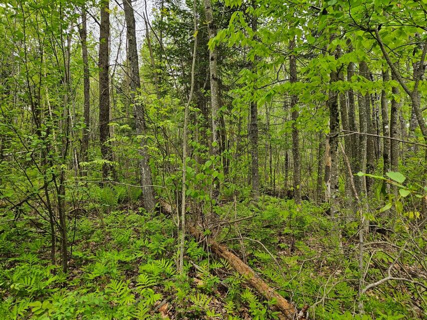 681 Mile Hill Road New Sharon, ME 04955 - Photo 10 of 11 10