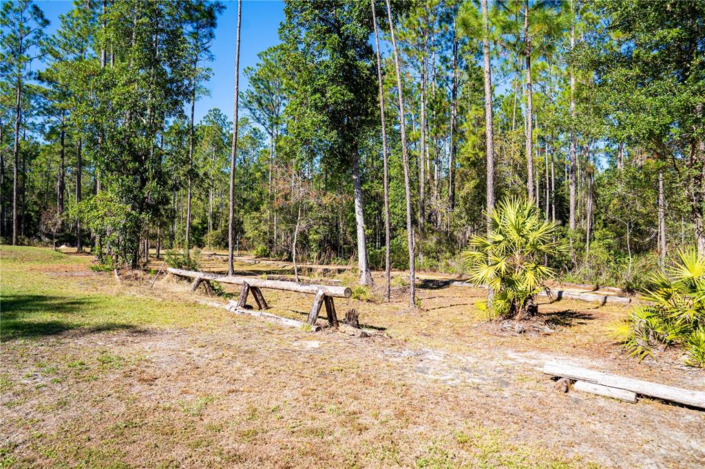 132 Nutmeg Trail Interlachen, FL 32148 - Photo 69 of 100