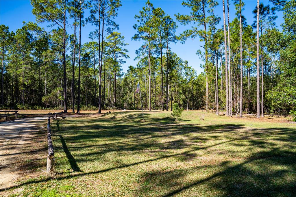 132 Nutmeg Trail Interlachen, FL 32148 - Photo 72 of 100