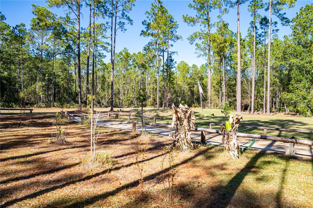 132 Nutmeg Trail Interlachen, FL 32148 - Photo 77 of 100