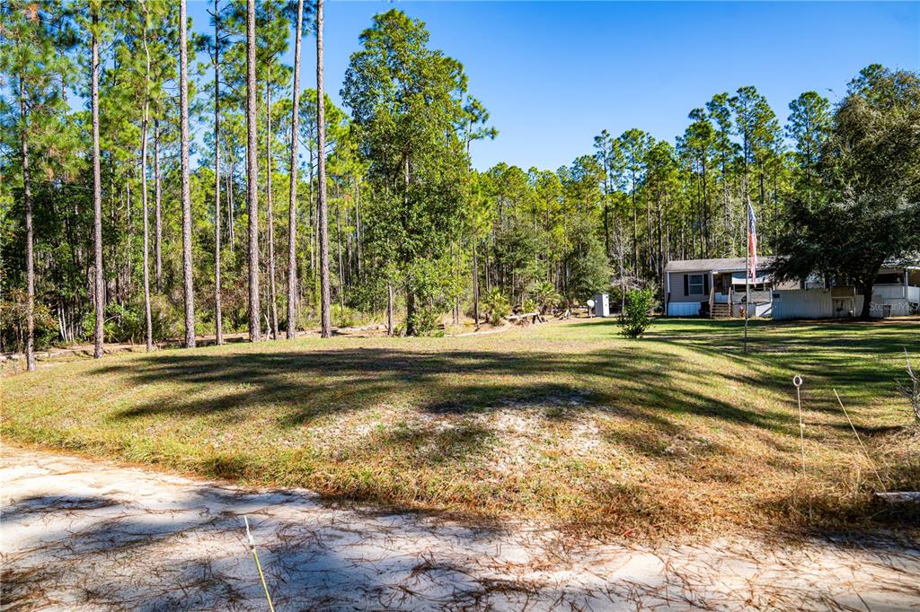 132 Nutmeg Trail Interlachen, FL 32148 - Photo 80 of 100