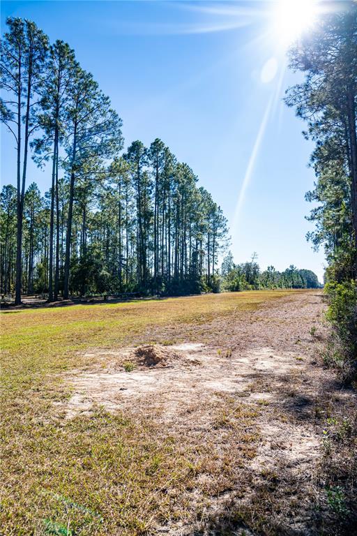 132 Nutmeg Trail Interlachen, FL 32148 - Photo 86 of 100