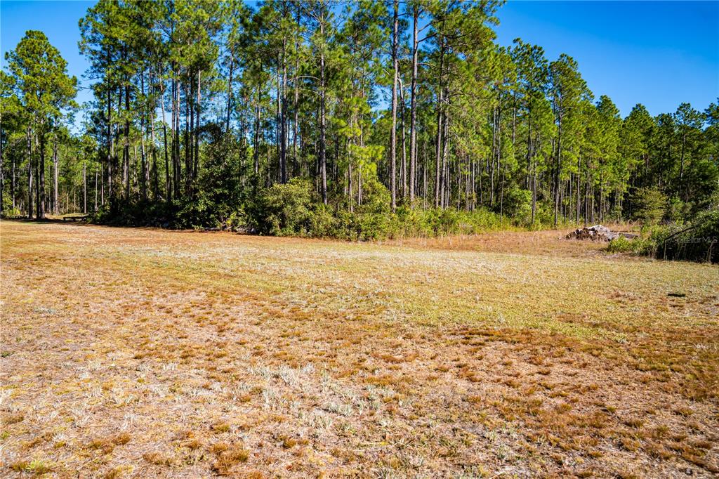 132 Nutmeg Trail Interlachen, FL 32148 - Photo 93 of 100
