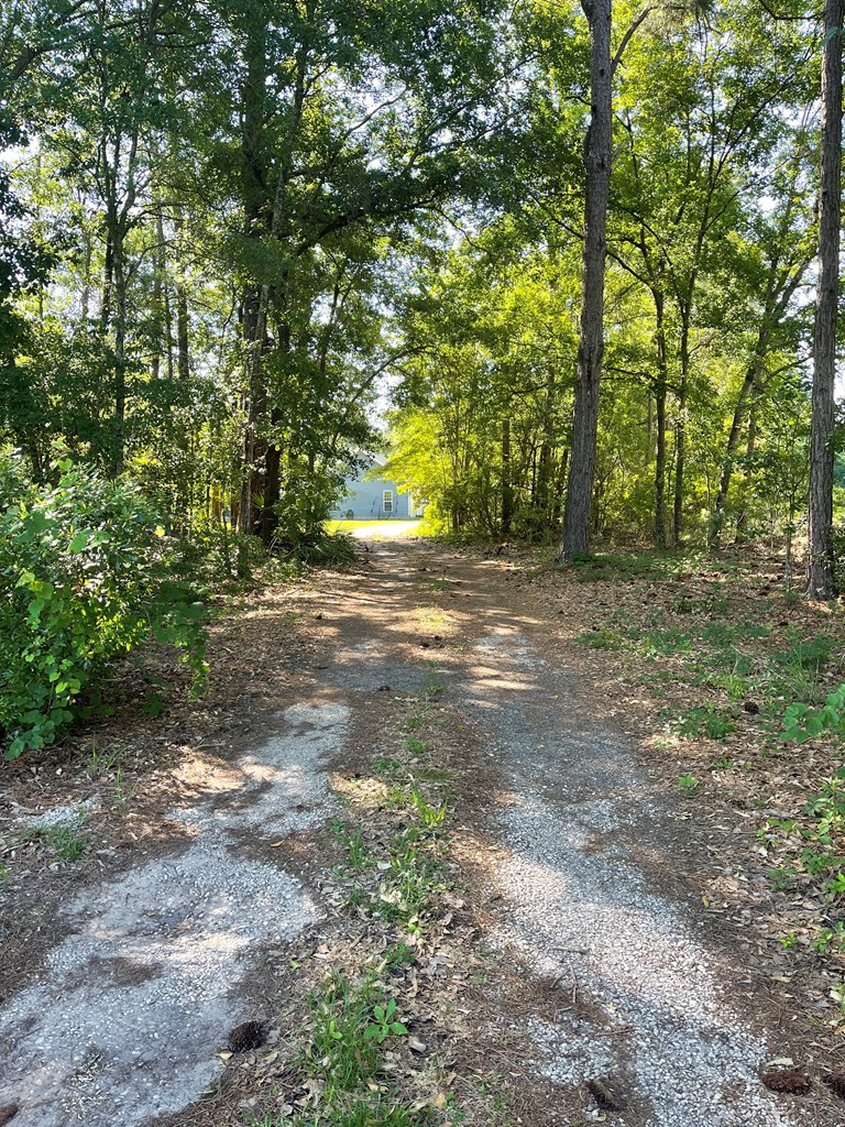 3050 Massee Post Road Adel, GA 31620 - Photo 46 of 46 Gallery Image 46