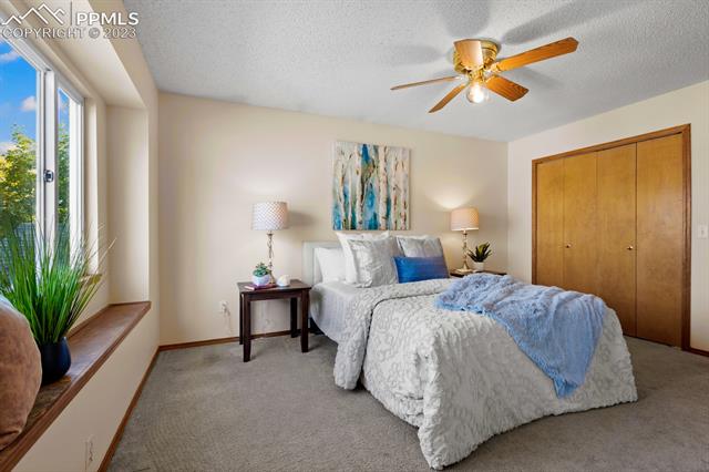 7824 French Road Colorado Springs, CO 80920 - Photo 16 of 29 Primary bedroom