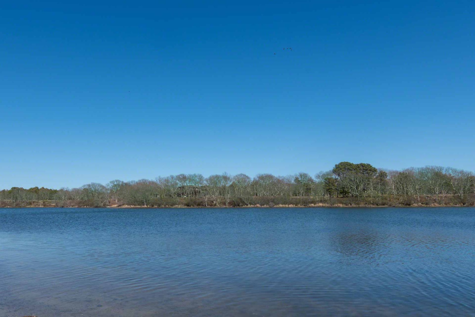 59 Seth's Way Edgartown, MA 02539 - Photo 9 of 46 a view of lake with mountain in background