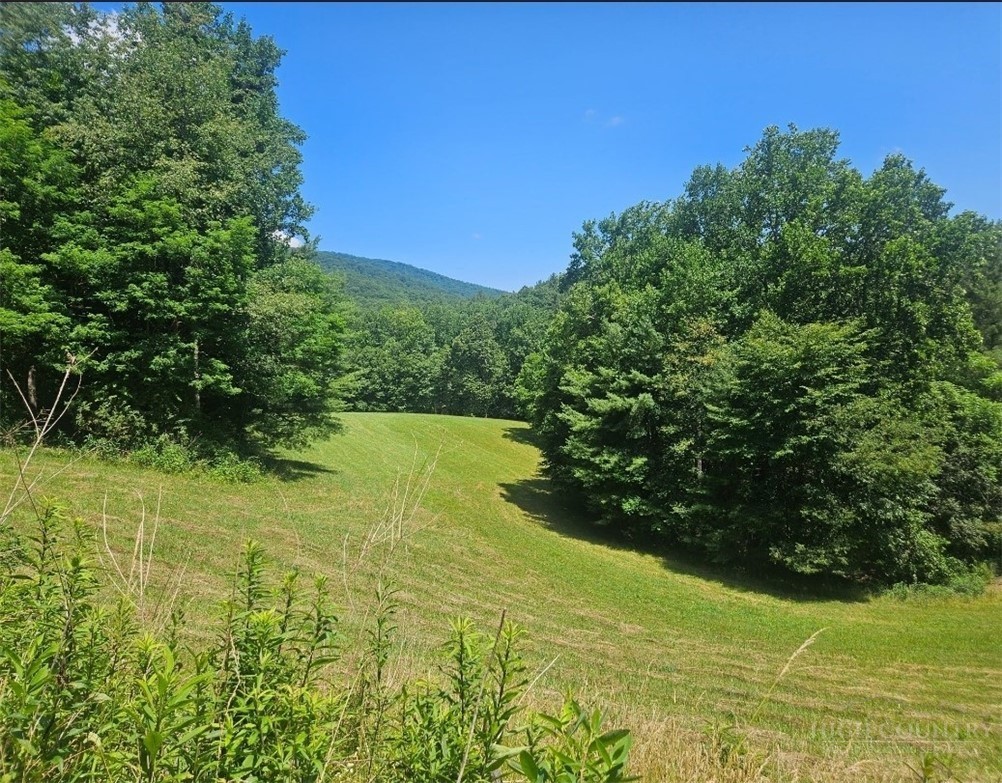 886 Hanging Rock Road Spruce Pine, NC 28777 - Photo 3 of 50