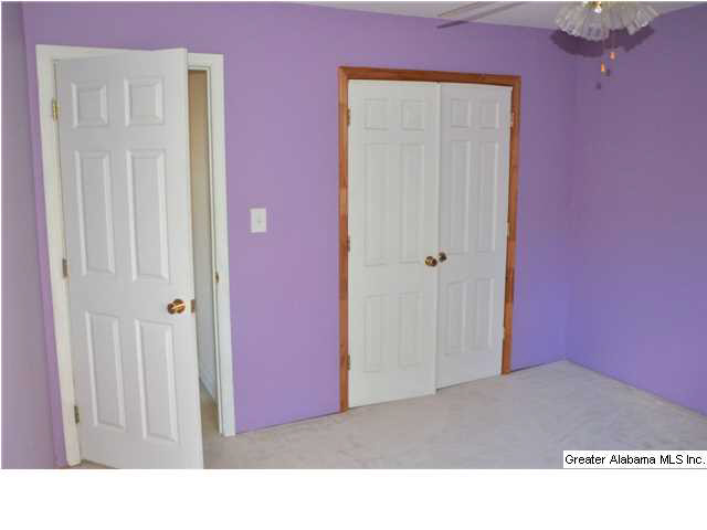 3711 Blue Springs Road Wilsonville, AL 35186 - Photo 17 of 29