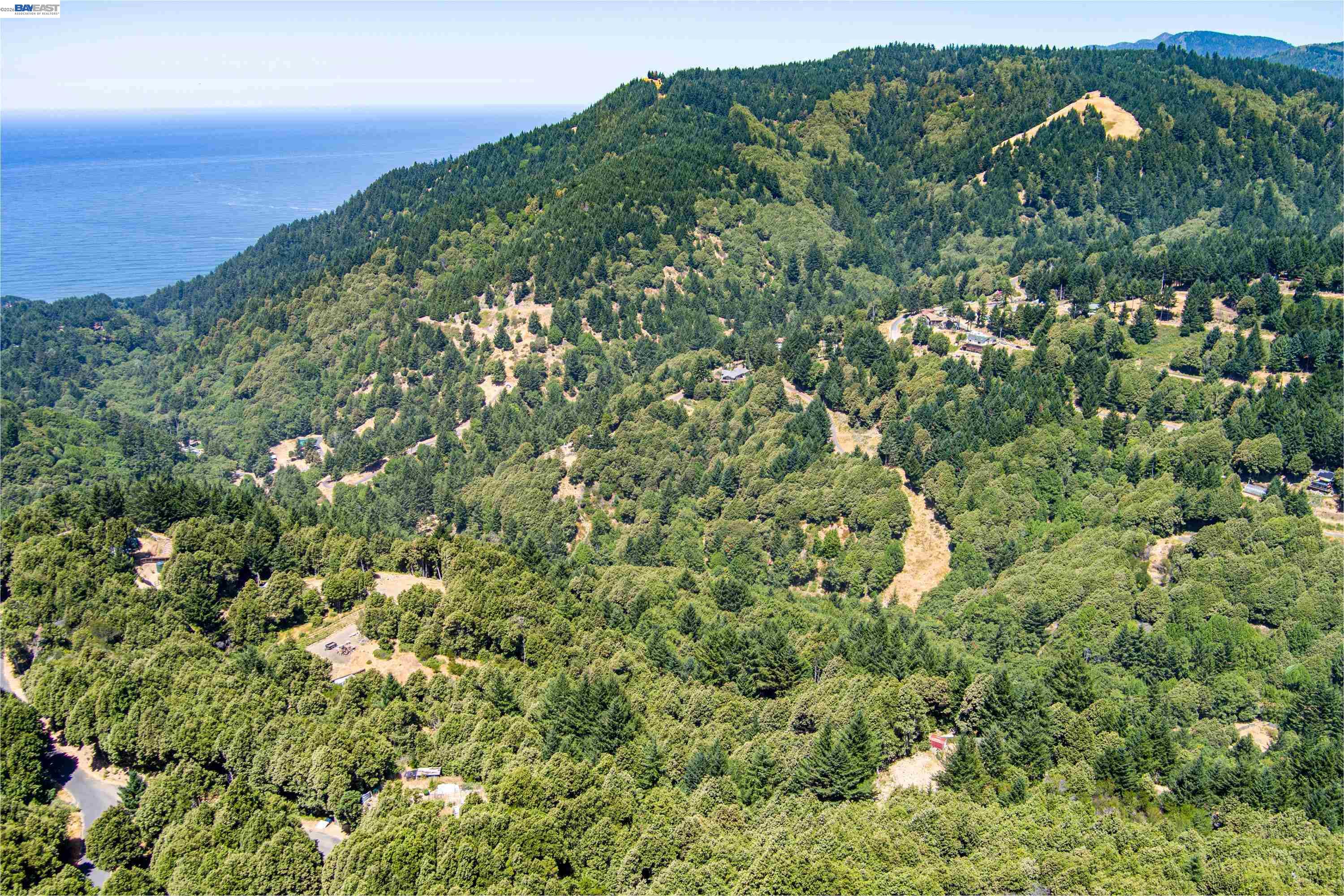 91 Walker Way Whitethorn, CA 95589 - Photo 2 of 9 a view of a green field with lots of bushes