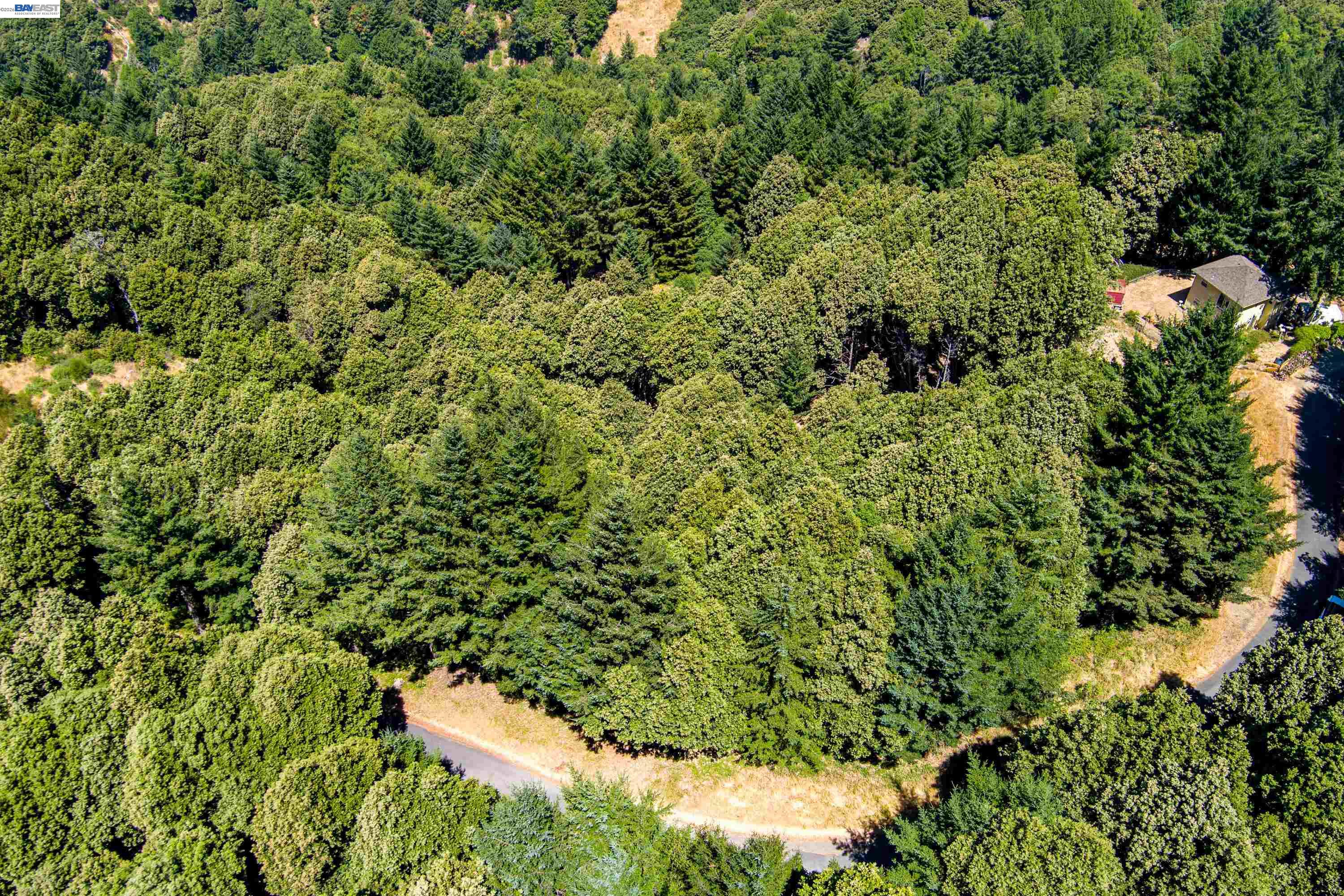 91 Walker Way Whitethorn, CA 95589 - Photo 4 of 9 a view of a lush green forest
