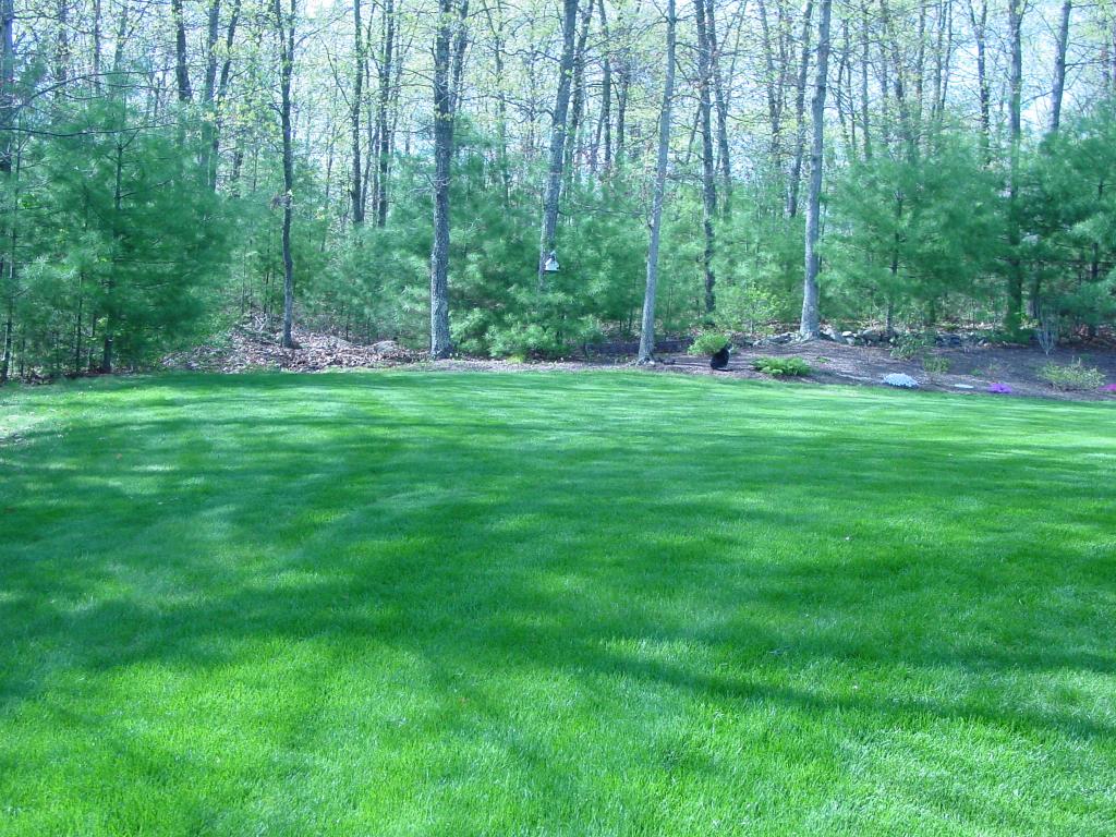 3 Hampstead Road Merrimack, NH 03054 - Photo 5 of 21