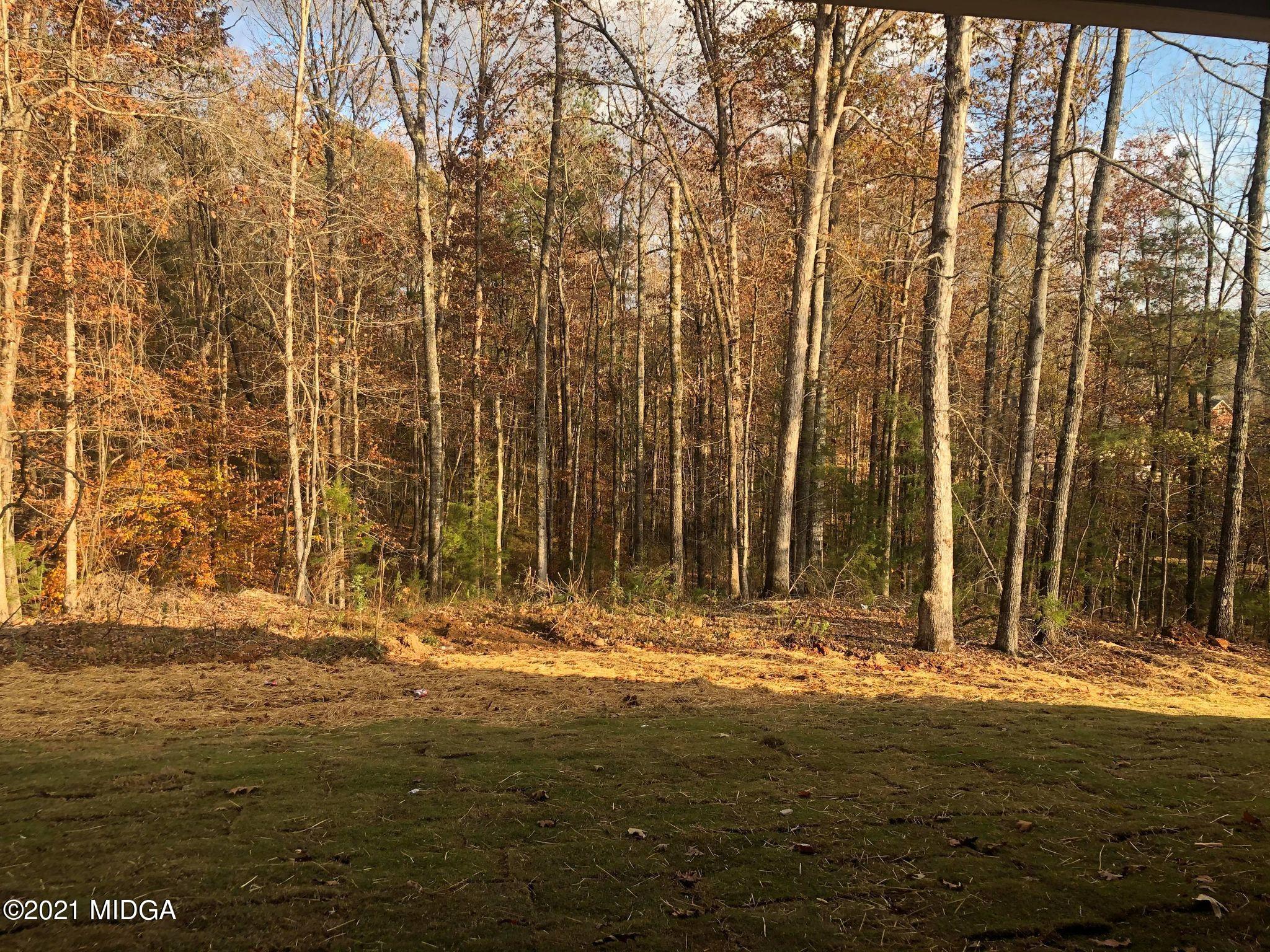 85 Adam Drive Forsyth, GA 31029 - Photo 18 of 18 a view of field with trees