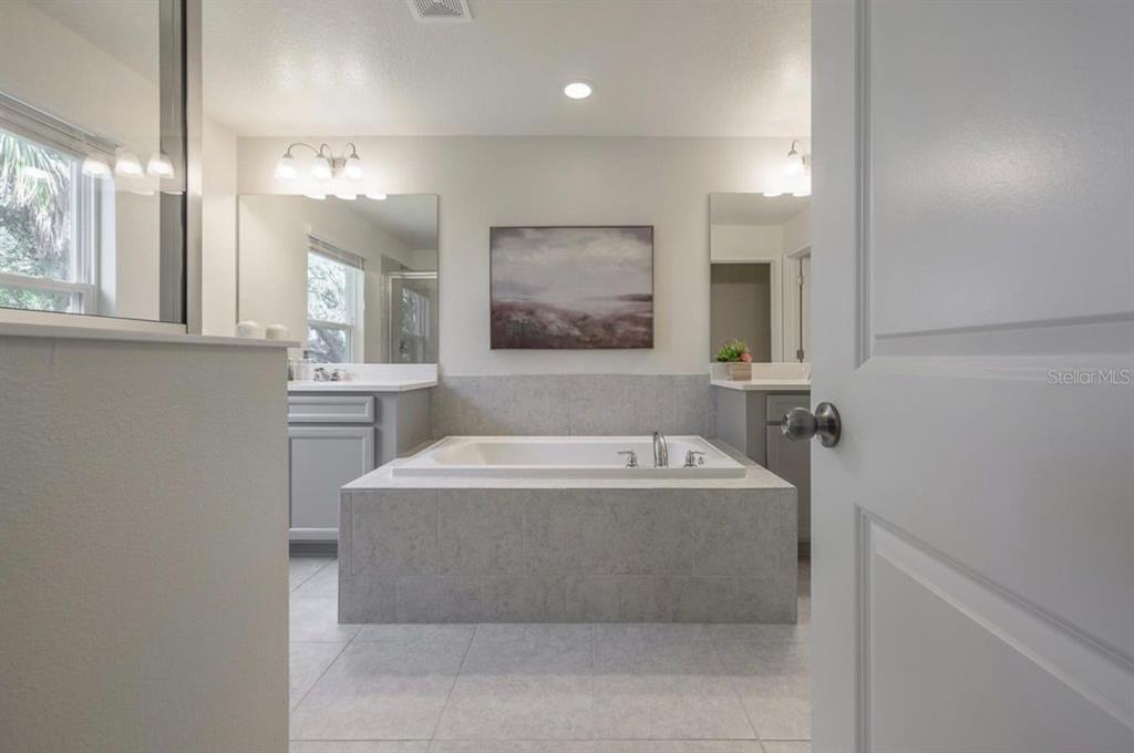 10128 Newel Valley Loop Riverview, FL 33569 - Photo 12 of 26 a bathroom with a bathtub a mirror a sinks and vanity