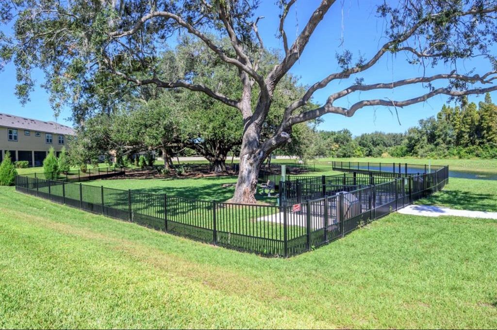 10128 Newel Valley Loop Riverview, FL 33569 - Photo 23 of 26 a view of a park with large trees