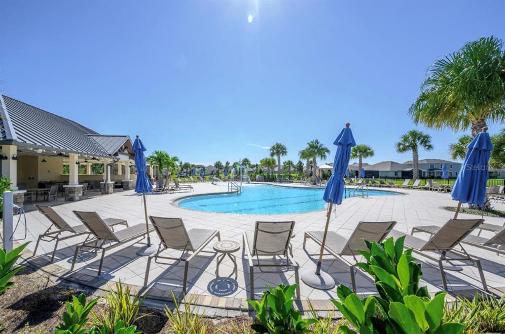 10128 Newel Valley Loop Riverview, FL 33569 - Photo 25 of 26 a view of swimming pool with outdoor seating and plants